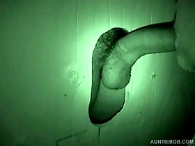 Auntie Bob's Public Rest Room Hidden Cam